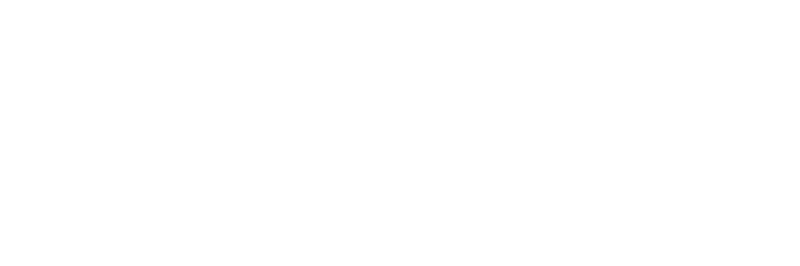 FIBER OCEAN